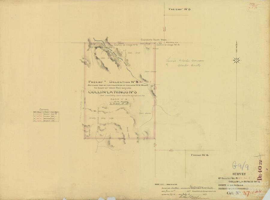Thomas Wentworth Wills and Cullinlaringo Station Queensland